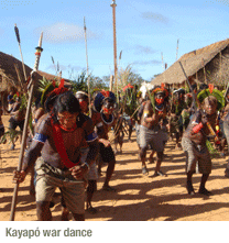 25_1577_698_Kayapo_War_Dance.gif
